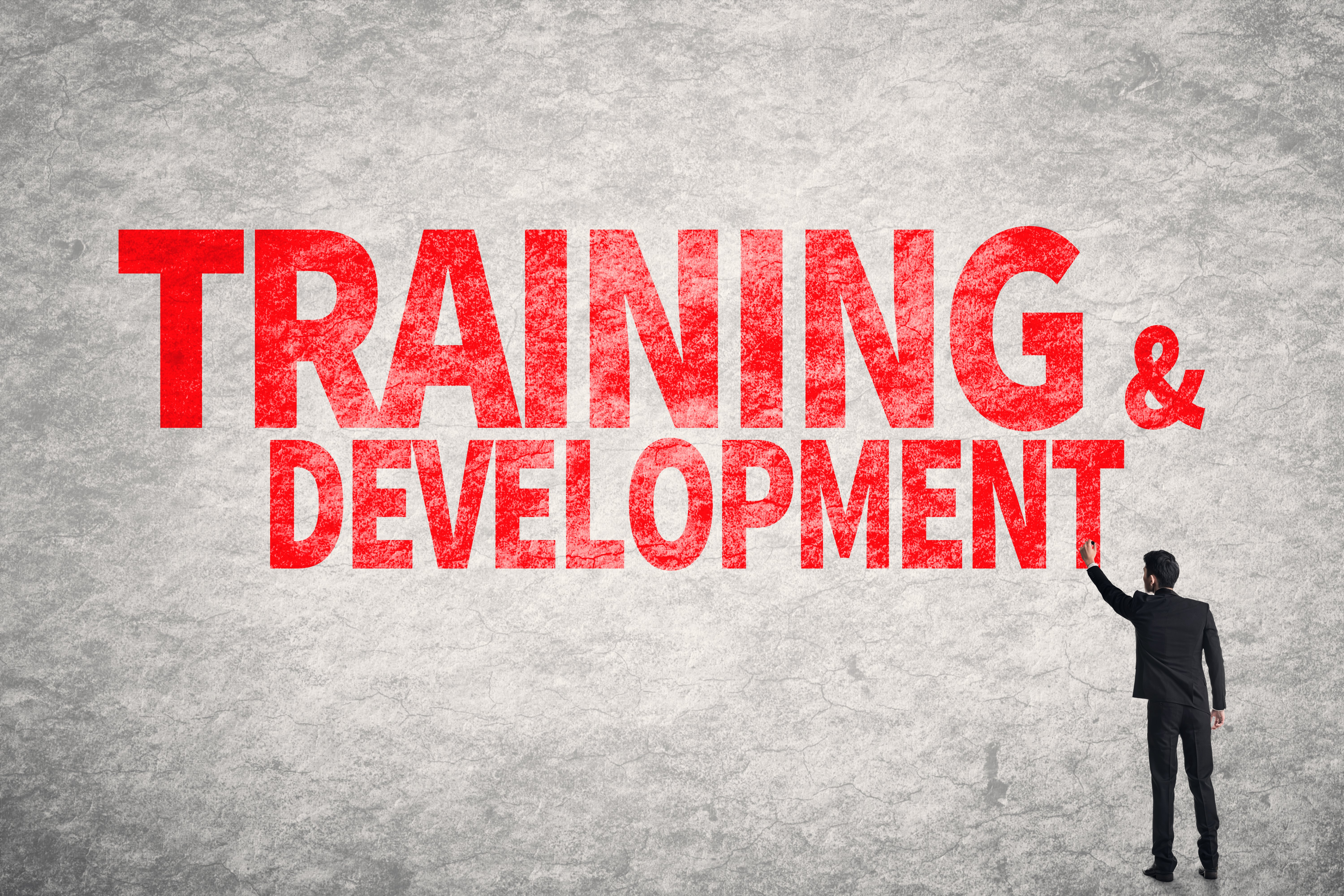 training and development